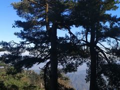 -洛阳白云山景区