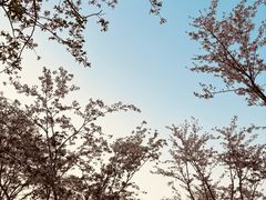 -幕燕滨江·燕子矶公园