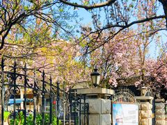 -天津五大道文化旅游区