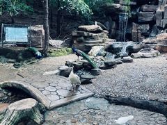 -燕塞湖鸟语林景区