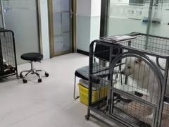 -全心全意连锁动物医院(加州店)