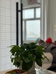 -瑜是瑜伽