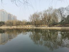 -团结湖公园