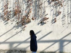 -乌镇东栅景区