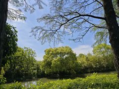 -西溪国家湿地公园