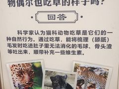 -成都动物园