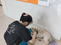 -安安宠物医院(情缘分院)