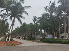 -万绿园