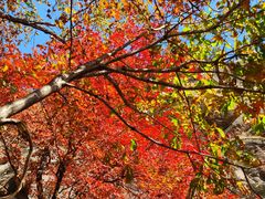 -丹东凤凰山景区