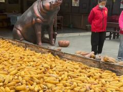 -白草畔自然风景区