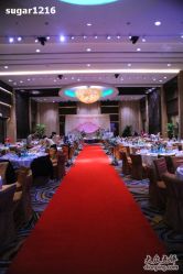 红地毯-上海浦东喜来登由由大酒店·宴会厅