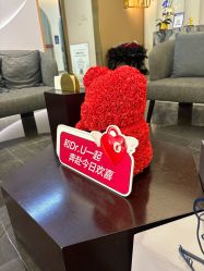 -Dr.U博士医疗美容医院