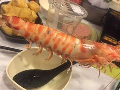 -鲜入围煮花胶鸡海鲜火锅