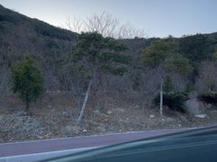 -外蒲山
