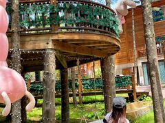 -洛阳白云山景区