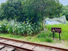 -武汉紫薇都市田园