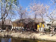 -三里河公园