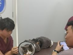 -芭比堂动物医院·24小时·眼科中心(深圳中心)