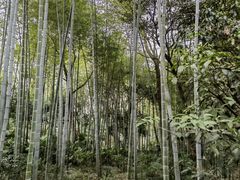 -南京东郊国宾馆