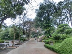 -九龙公园