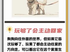 -瑞鹏宠物医院犬猫全科(真大分院)