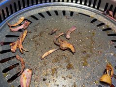 -杨记齐齐哈尔烤肉(总店)