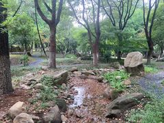 -新洲生态园