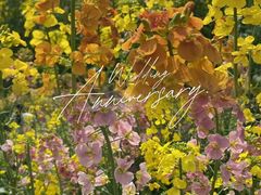 -三圣花乡旅游区