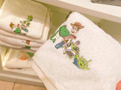 -ZARA HOME(天环广场店)
