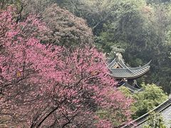 -韬光茶庵
