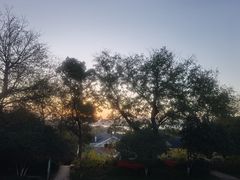 -上海市保健医疗中心