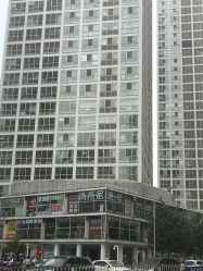 -尚丹尼造型