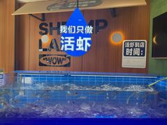 -0048鲜活香辣虾·火锅(铜陵路店)