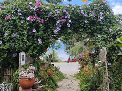 -明月山庄私房菜(环海东路店)