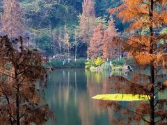 -重庆彩云湖湿地公园