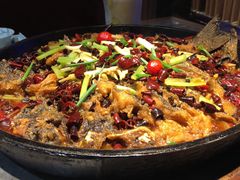 -老板恋上鱼(恒隆广场店)