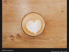 -Punchline Coffee&Roaster(同济大学店)