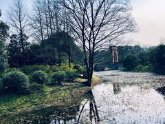 -蠡湖中央公园