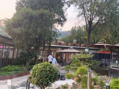 -蘇河湾·新鲁菜·泰山宴(泰山店)