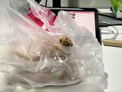 -王二甩老木子鸡(江湾店)