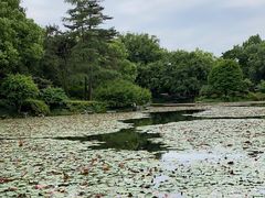 -杭州植物园
