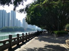 -光明港公园