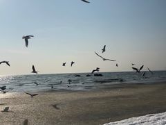 -老虎石海上公园