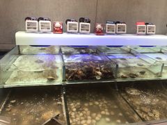 水产区-盒马鲜生(联投广场店)