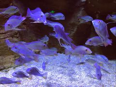 -成都浩海立方海洋公园