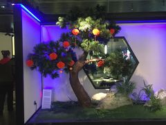 -绿茶餐厅(成都大悦城店)