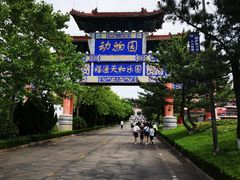 -西霞口神雕山野生动物世界