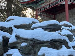-香山公园