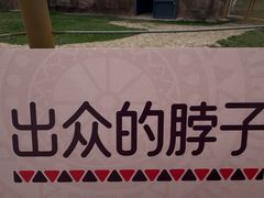 -武汉动物园