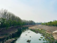 -东郊湿地公园